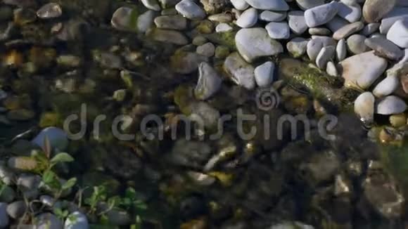 清水的小装饰溪流视频的预览图