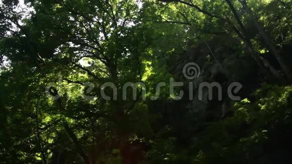 福斗瀑布在青林中的奇布山晴天视频的预览图