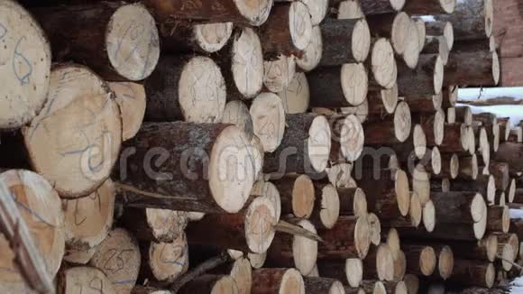 木原木堆在木制品上有数字标记视频的预览图