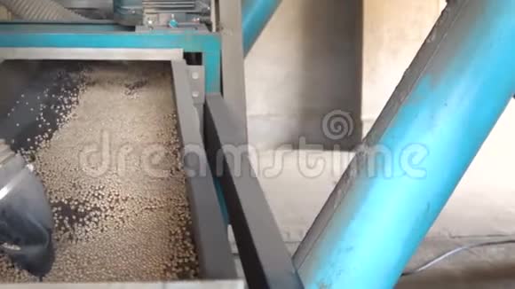 在电梯上分拣豌豆种子慢动作视频的预览图