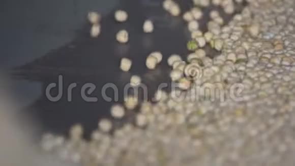 在电梯上分拣豌豆种子慢动作视频的预览图