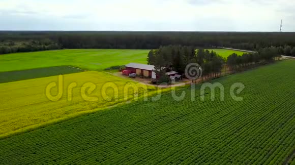 一个红色的小农场的五彩田在那里种植土豆和谷物视频的预览图
