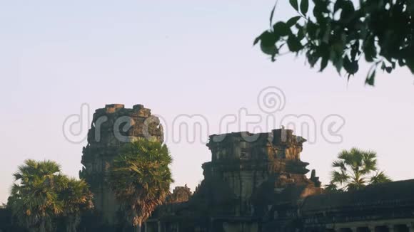 清晨吴哥窟寺庙废墟中的猴子观视频的预览图