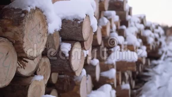 锯木厂用数字标记覆盖在雪堆上的树木视频的预览图