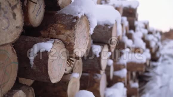 在锯木厂被白雪覆盖的被砍伐的树木用数字标记挤成一团视频的预览图