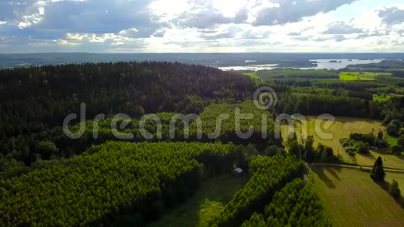 湖边小山旁的森林和田野视频的预览图