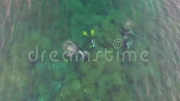 空中潜水者在水下拍照视频的预览图