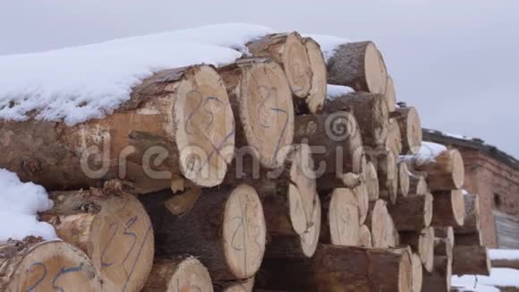 伐木厂用数字标记覆盖在雪堆上的树木视频的预览图