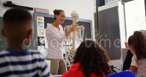 高加索女教师在4k教室讲解人体骨骼模型的正面观点视频的预览图