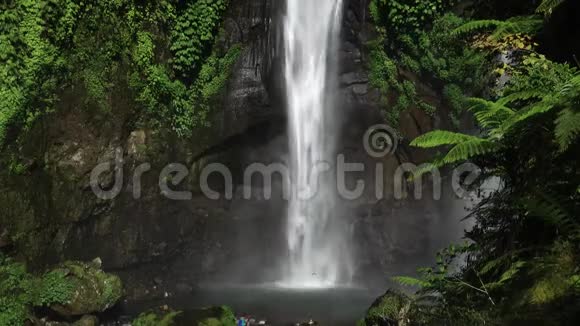 印尼巴厘岛的Sekumpul瀑布视频的预览图