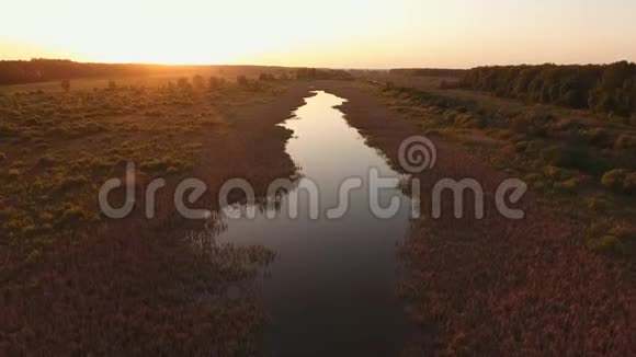 日落时爬上河面这条河长满了芦苇日落于靠近森林的河流视频的预览图