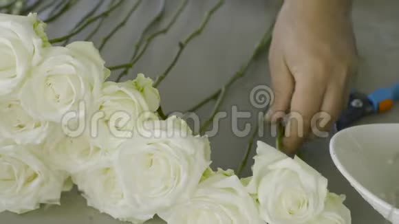 多莉花店里花店里的人花店为花束布置了白色玫瑰视频的预览图