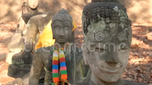 供奉泰国佛像泰国历史清迈省佛像寺清迈历史公园视频的预览图