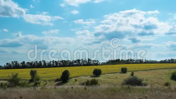 蓝天上的彩云移动时光流逝令人惊叹的乡村山谷乌克兰视频的预览图