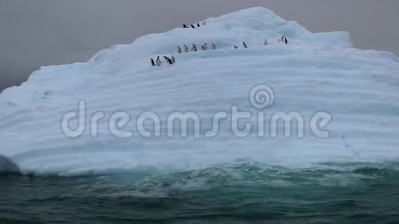 企鹅沿着蓝色冰川的斜坡行走视频的预览图