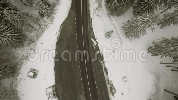 路穿过冬林视频的预览图