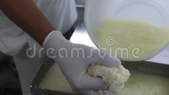 工厂制造过程男人农场工人把牛奶和凝乳分离出来视频的预览图