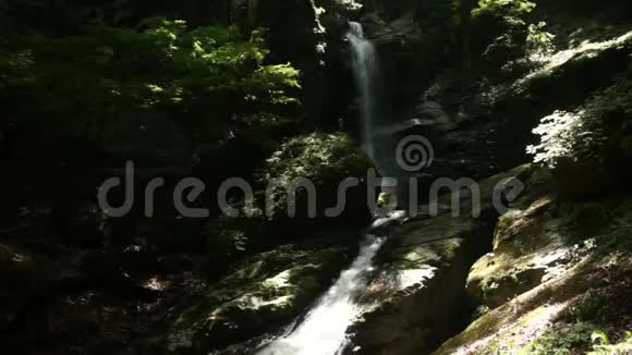 福斗瀑布在青林中的奇布山晴天视频的预览图
