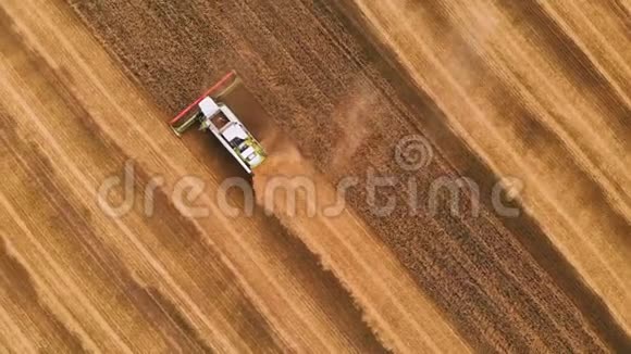 夏季小麦的鸟瞰收获田间劳动的收割者联合收割机农用机器视频的预览图