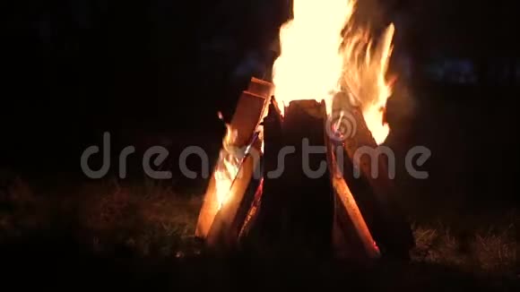 火在夜晚燃烧篝火在漆黑的秋夜温暖视频的预览图