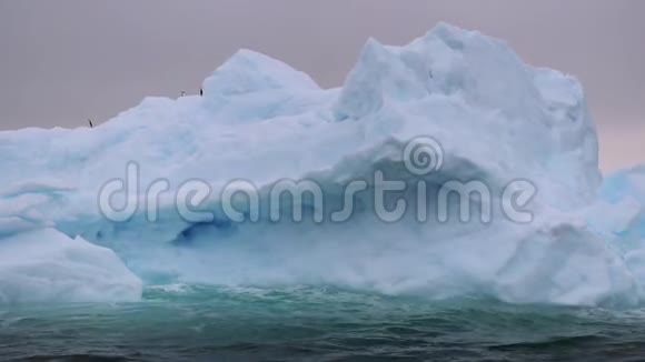 南极洲的冰川上有企鹅在海浪中游动视频的预览图