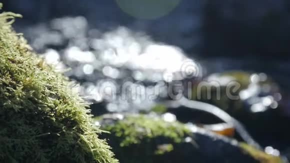 春天的河流在苔藓的岩石之间流淌视频的预览图