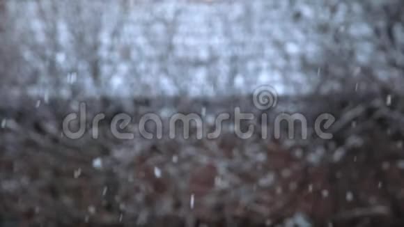 自然背景下的降雪慢镜头视频的预览图