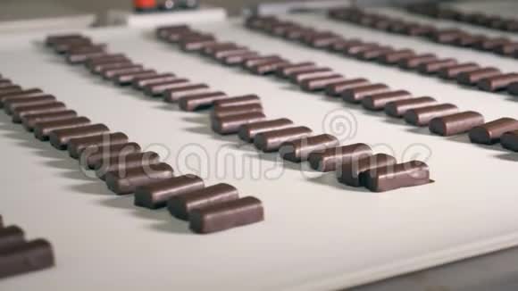 一排排巧克力糖果沿着工厂的传送带移动视频的预览图