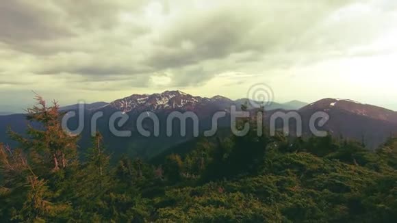 森林中一座美丽的山的全景视频的预览图