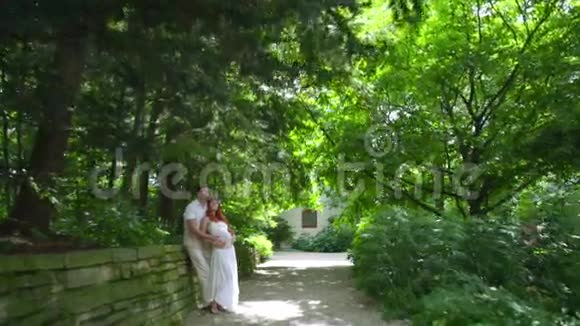 怀孕的夫妇夏天在公园拥抱期待父母在公园拥抱视频的预览图