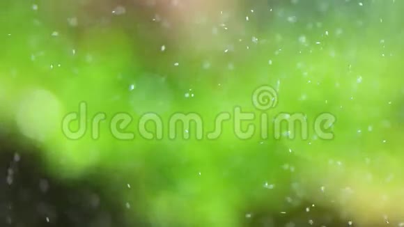 泡泡是绿色的视频的预览图