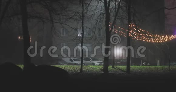 秋季公园夜间照明装饰视频的预览图