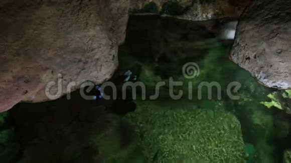 水下洞穴视频的预览图