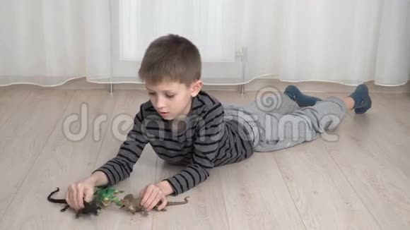小男孩玩恐龙视频的预览图