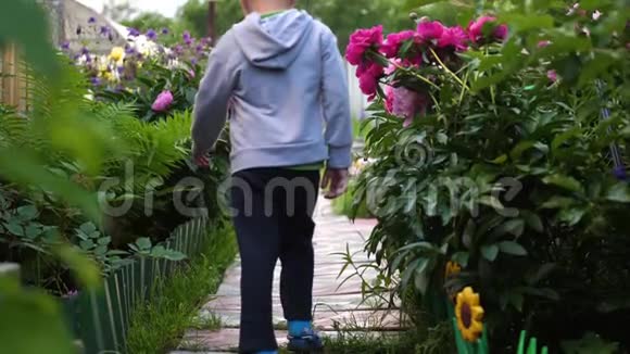 开花园花孩子沿着小路沿着花跑男孩在花园里玩快乐视频的预览图