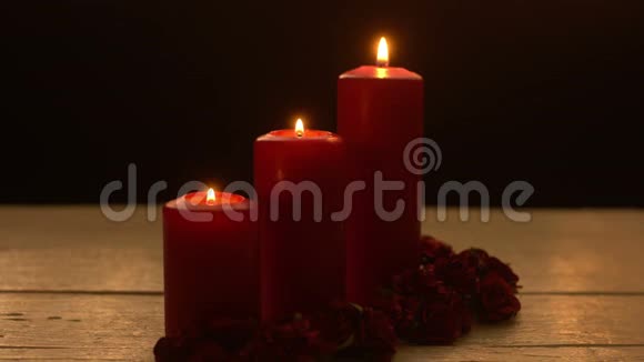 带玫瑰的浪漫红烛视频的预览图