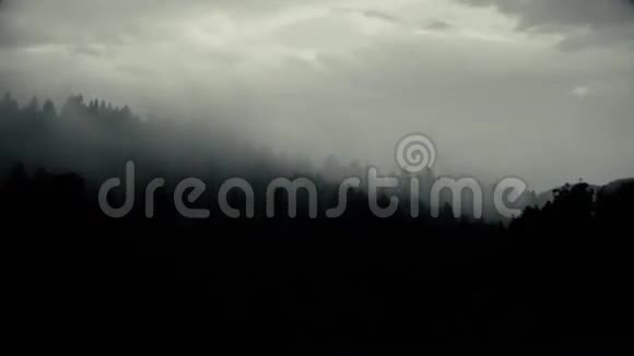 雾蒙蒙的山林视频的预览图