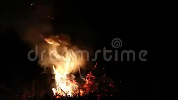 枯枝夜火视频的预览图
