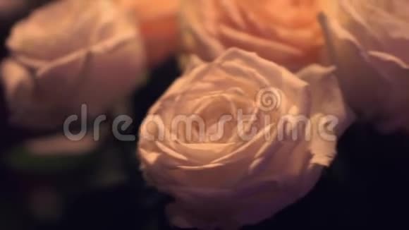 婚礼花束白玫瑰剪辑白色玫瑰特写的花瓣白色新鲜玫瑰的特写镜头视频的预览图