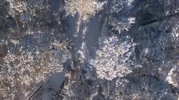 鸟瞰冬天的雪景有森林树木和雪崖蓝天冬季景观视频的预览图