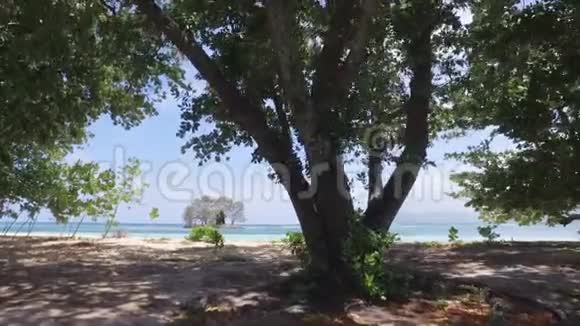 步行至塞舌尔拉迪盖岛海岸视频的预览图