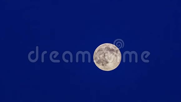 蓝色背景下明亮的万圣节月亮视频的预览图