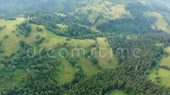 在山区森林附近的绿色草地上空中拍摄的乡村孤独的房子视频的预览图