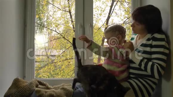 在一个阴天的秋日母亲在窗台上编织女儿的头发视频的预览图