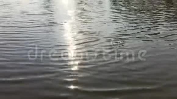 金阳径自然江上视频的预览图