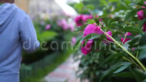 开花园花孩子沿着小路沿着花跑男孩在花园里玩耍视频的预览图