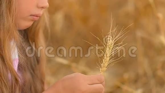 抱着麦穗的女孩微笑着抱着麦穗的孩子视频的预览图