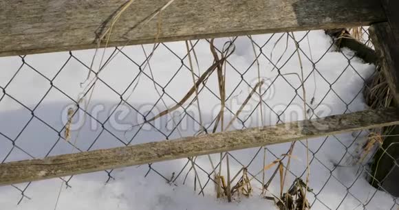 冬季白天用金属网封闭的木栅栏视频的预览图