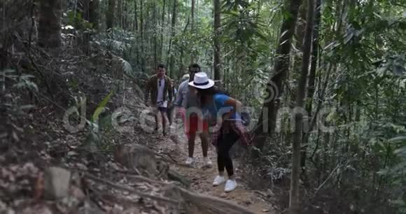 徒步穿越森林的游客群体不同的人一起穿越森林之路视频的预览图