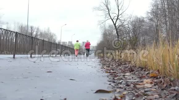 户外老年妇女北欧步行两位高级女士接受户外培训后景视频的预览图